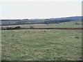 Open farmland to the south of Humblheugh