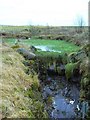 Weed-choked pond