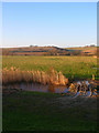 View from the River Ouse