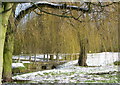 The Beck, Barmby Moor