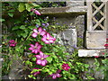 Bodnant Gardens, Close Up