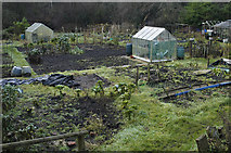 SD5153 : Allotments at Lower Dolphinholme by Tom Richardson