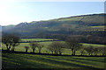 Fields north of Erwbarfe Farm