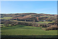 Farmland east of the Rheidol gorge