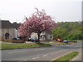 Highbridge Road, Lodge Farm, Netherton