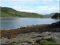 NM6256 : Loch Teacuis by Richard Laybourne