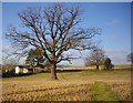 Oldfield, Leddington