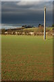 Electricity poles, Little Comberton