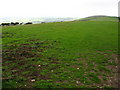 Above Corfe Castle on Path to Swanage