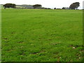 Above Corfe Castle on Path to Swanage