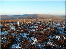 NS6922 : Double fenceposts on the east ridge of Wardlaw Hill by Gordon Brown