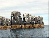 NU2337 : Farne Island, sea stacks by Andy F