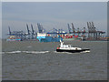 TM2732 : Maersk Flanders at Felixstowe by gary faux