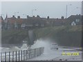 Mad Driver on Promenade