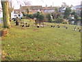 Ducks by the pond, Westleton