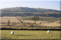 Drained field on Rhos y Gell