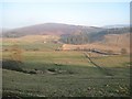 Looking across Glen Isla