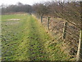 Path near Gamesley Fold Farm