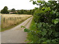 Lane on the edge of Lowdham