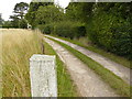 Driveway near Lowdham