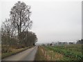 Road to Kilry Church