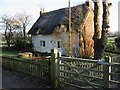 Thatched cottage on Cooting Lane