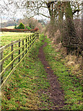 SE8756 : The Wolds Way south of Glebe Farm by Andy Beecroft