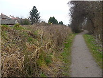 SK5235 : Attenborough Nature Reserve Path as it approaches the railway by Andy Jamieson
