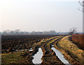 Lower Tomlow, Warwickshire, track