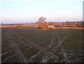 TQ4115 : Field near Curds Farm by Simon Carey