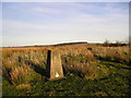 Trig Point