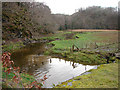 Marshland and stream by Coed-y-garth