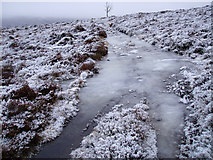 NH8719 : Icy Track by Dorothy Carse
