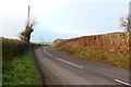 Road Between Alton Pancras and Henley