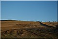 Fields north of Knoweside