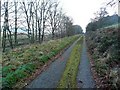 The track to Airds Point