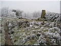 Farhill - A Frosted Footpath and Triangulation Pillar