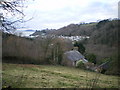 Millendreath from the road towards Bucklawren