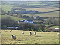 Cowin Grove farm and nearby buildings