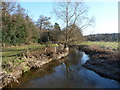 The River Wey and flood plain