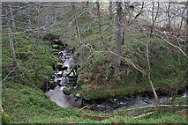 NJ0550 : The seclusion of the Romach burn near Burntack by Des Colhoun
