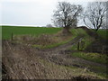 Farm  Track  to  Sandybed  from  Falsgrave  Moor