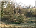 Site of old pond at South Cowton