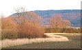 Hedgerow and hills