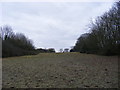 Minor Footpath, Pinford End