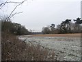 Frosty Field