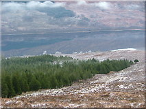 NN1289 : Forestry above Loch Arkaig by Richard Laybourne
