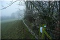 SO1020 : Bridleway past Berthlwyd-fach by Graham Horn