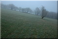 SO0919 : Foggy field near Talybont Reservoir by Philip Halling