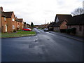 Newick, Cricketfield